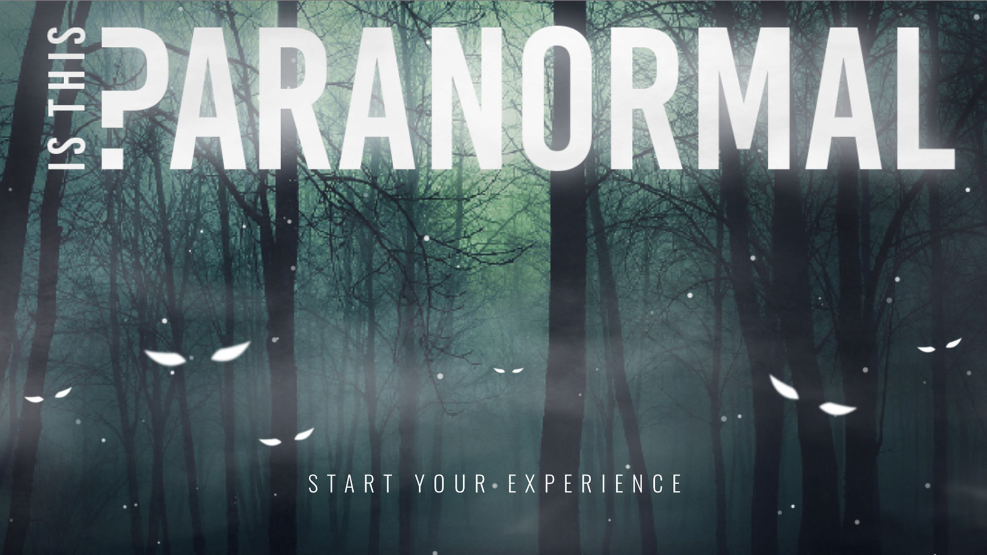 Is This Paranormal? S8E3