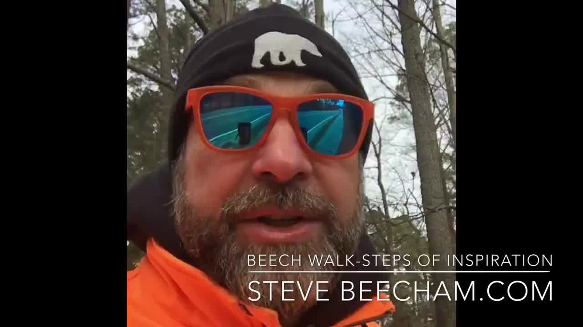 Beechwalks: Camping in the left lane