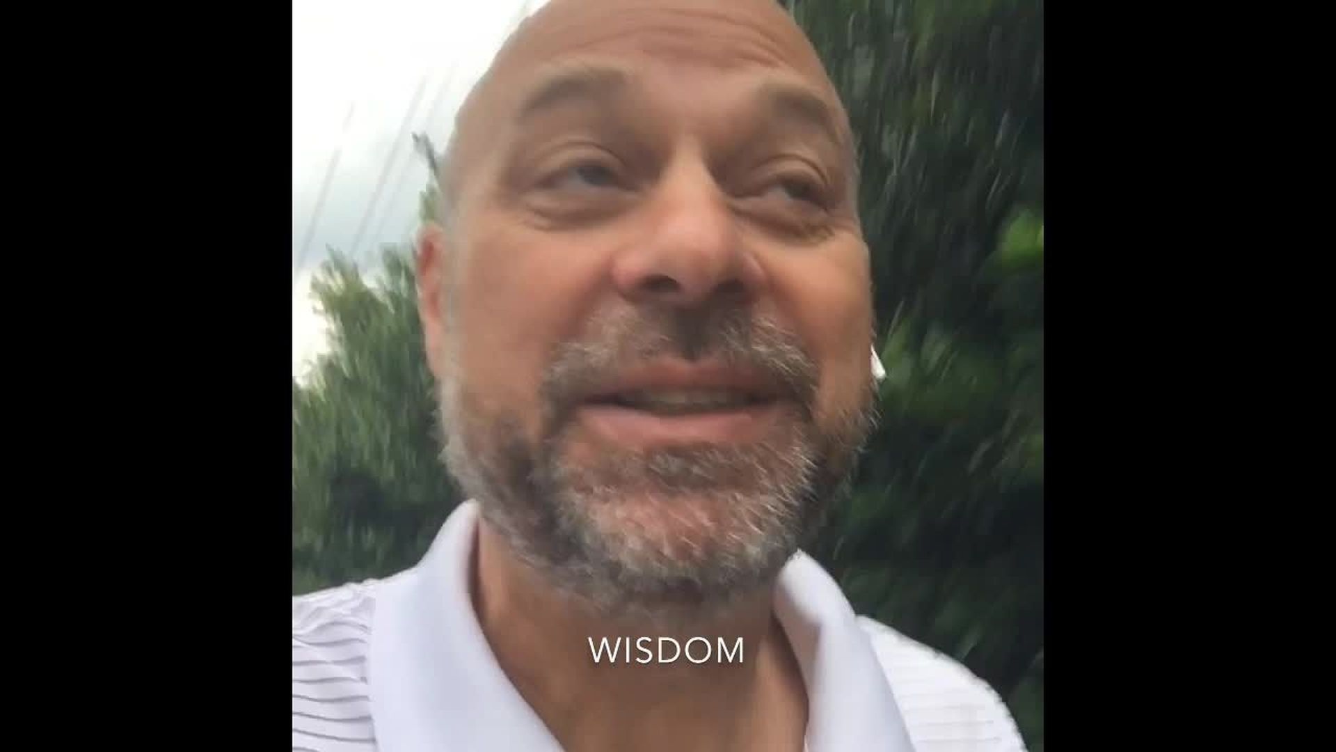 Wisdom
