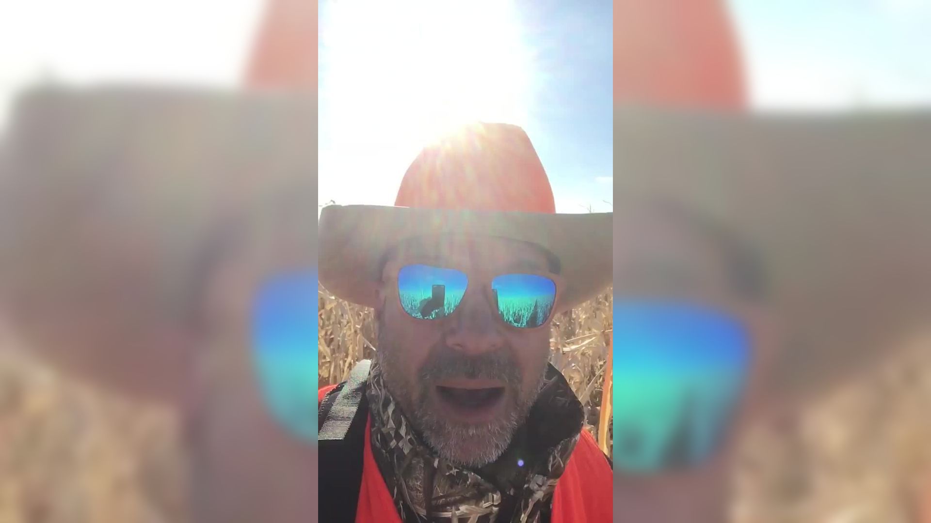 Beechwalks: Lost in corn field