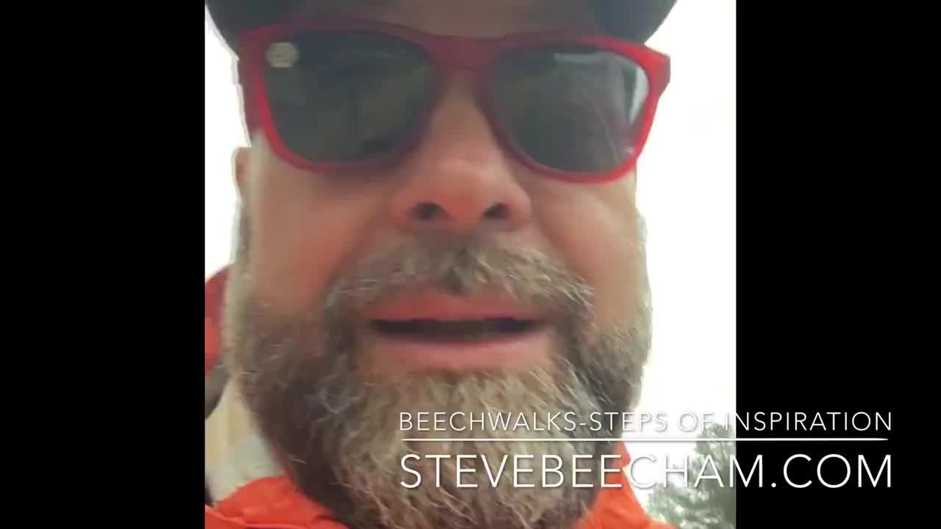 Beechwalks: Trifecta