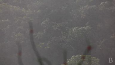 BELLA Presents: daily bello S1 Ep91 Rain and Rainbow in the Mountain