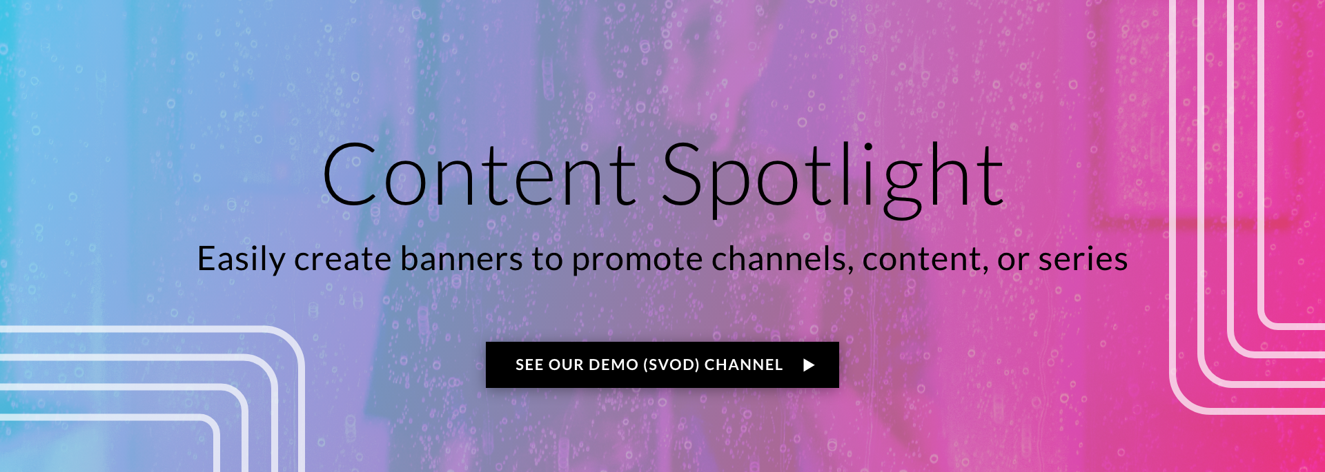 Content Spotlight