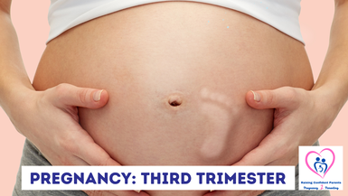 Pregnancy: Third Trimester