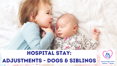 Hospital Stay: Adjustments - Dogs & Siblings