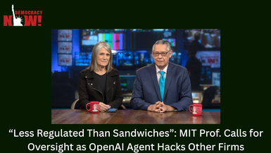 “Less Regulated Than Sandwiches”: MIT Prof. on OpenAI Agent Hacks