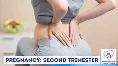 Pregnancy: Second Trimester