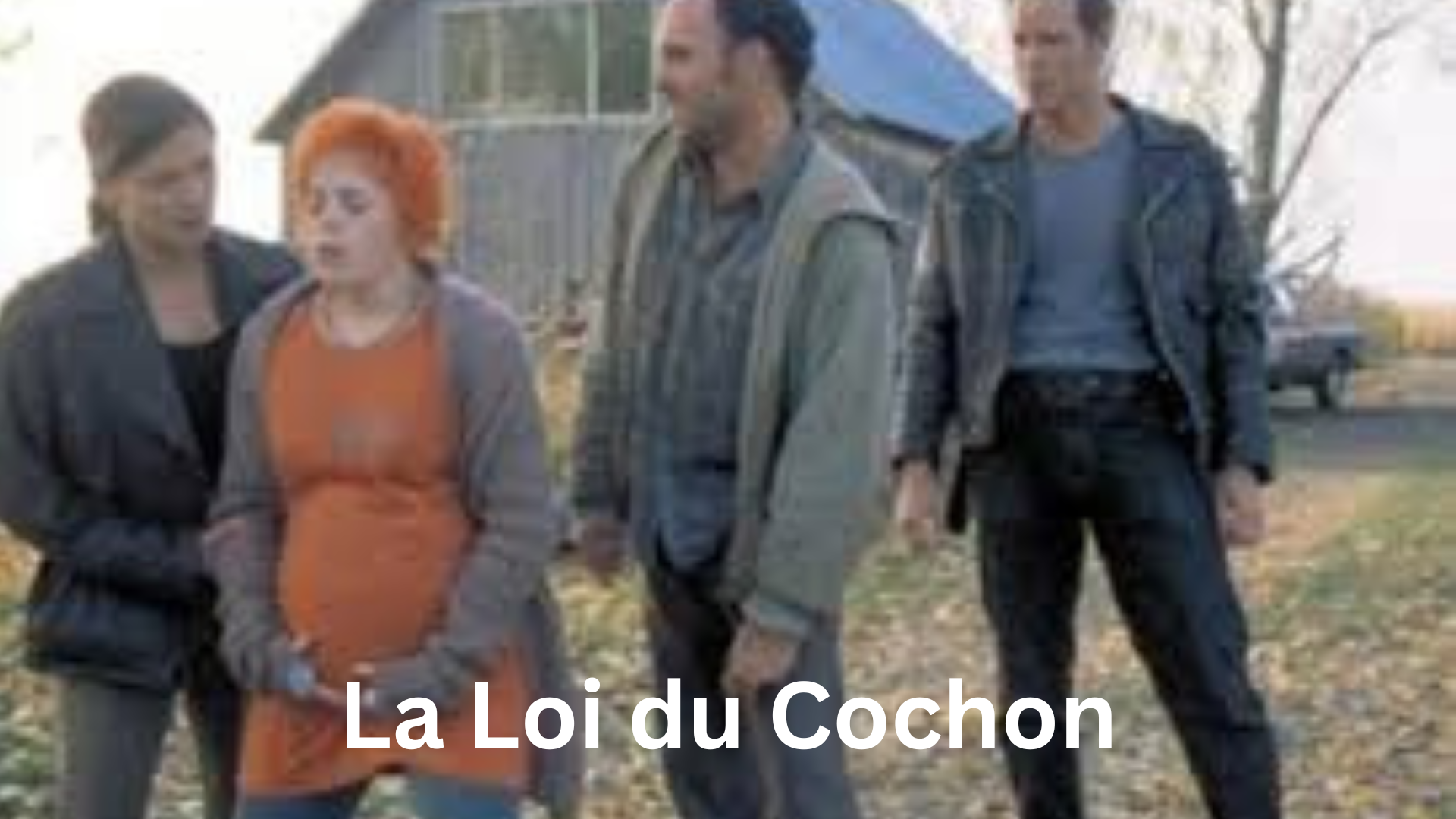 La Loi du Cochon
