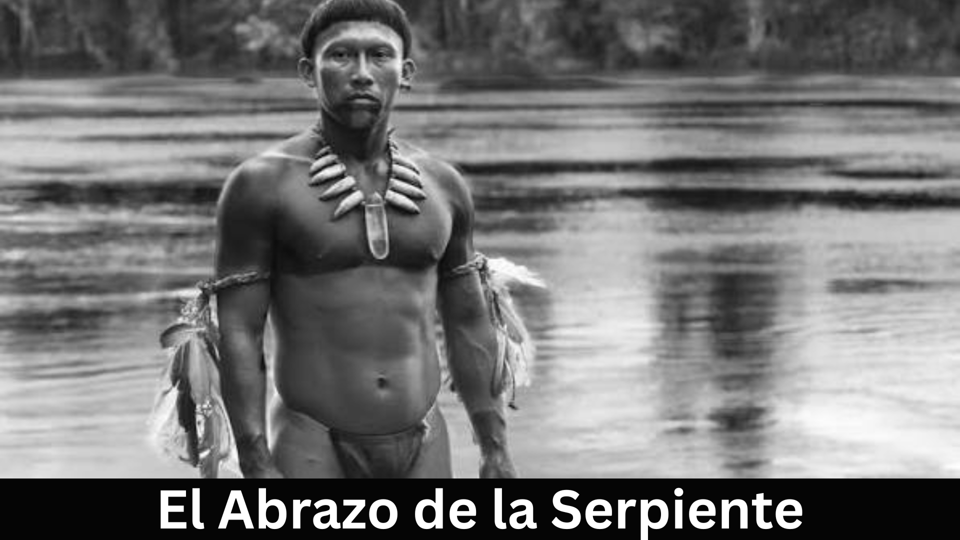 El Abrazo de la Serpiente