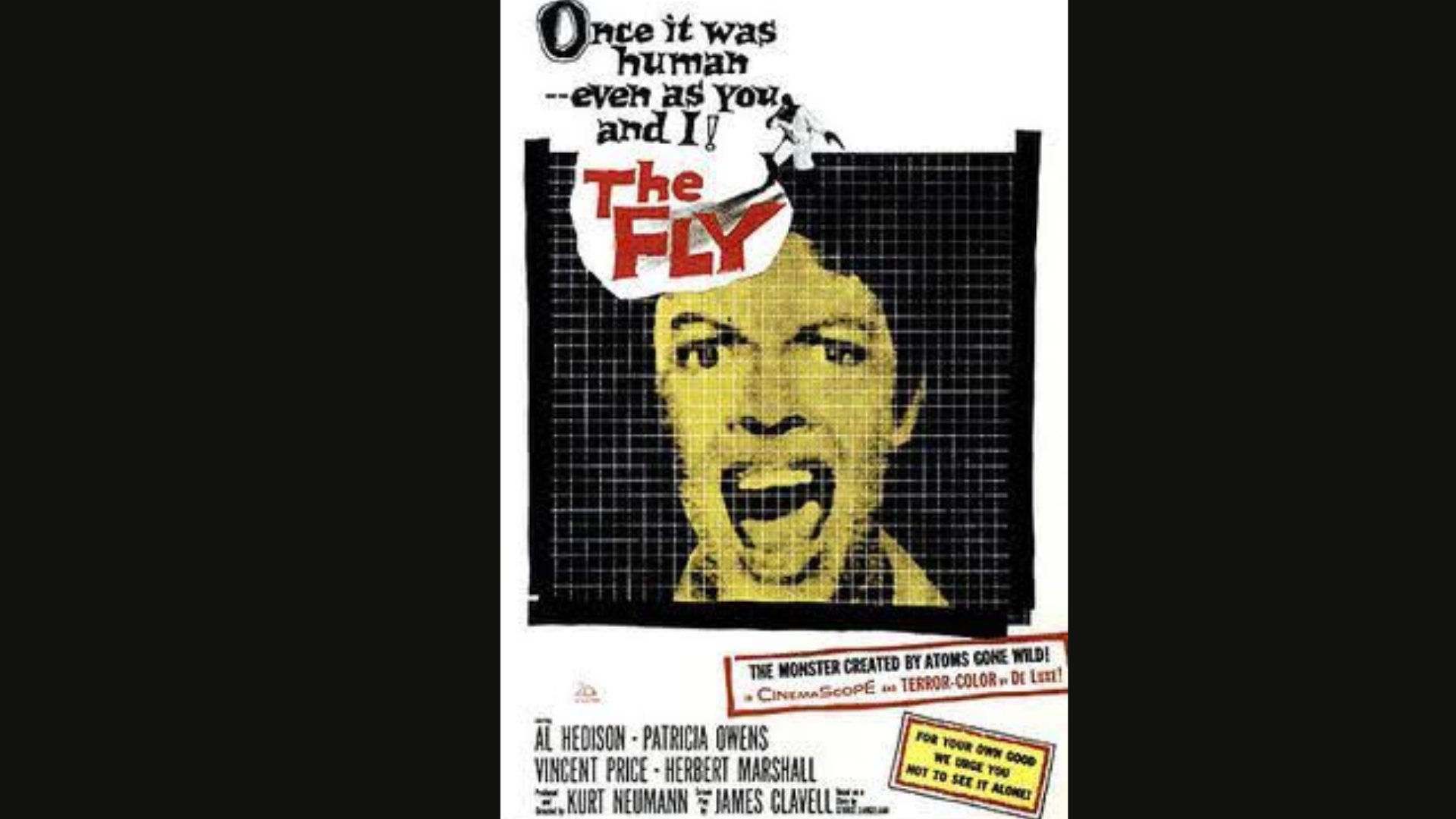 The Fly
