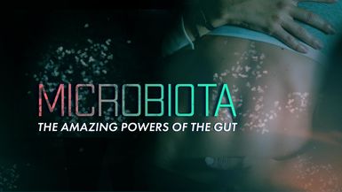 Microbiota: The Amazing Powers of the Gut
