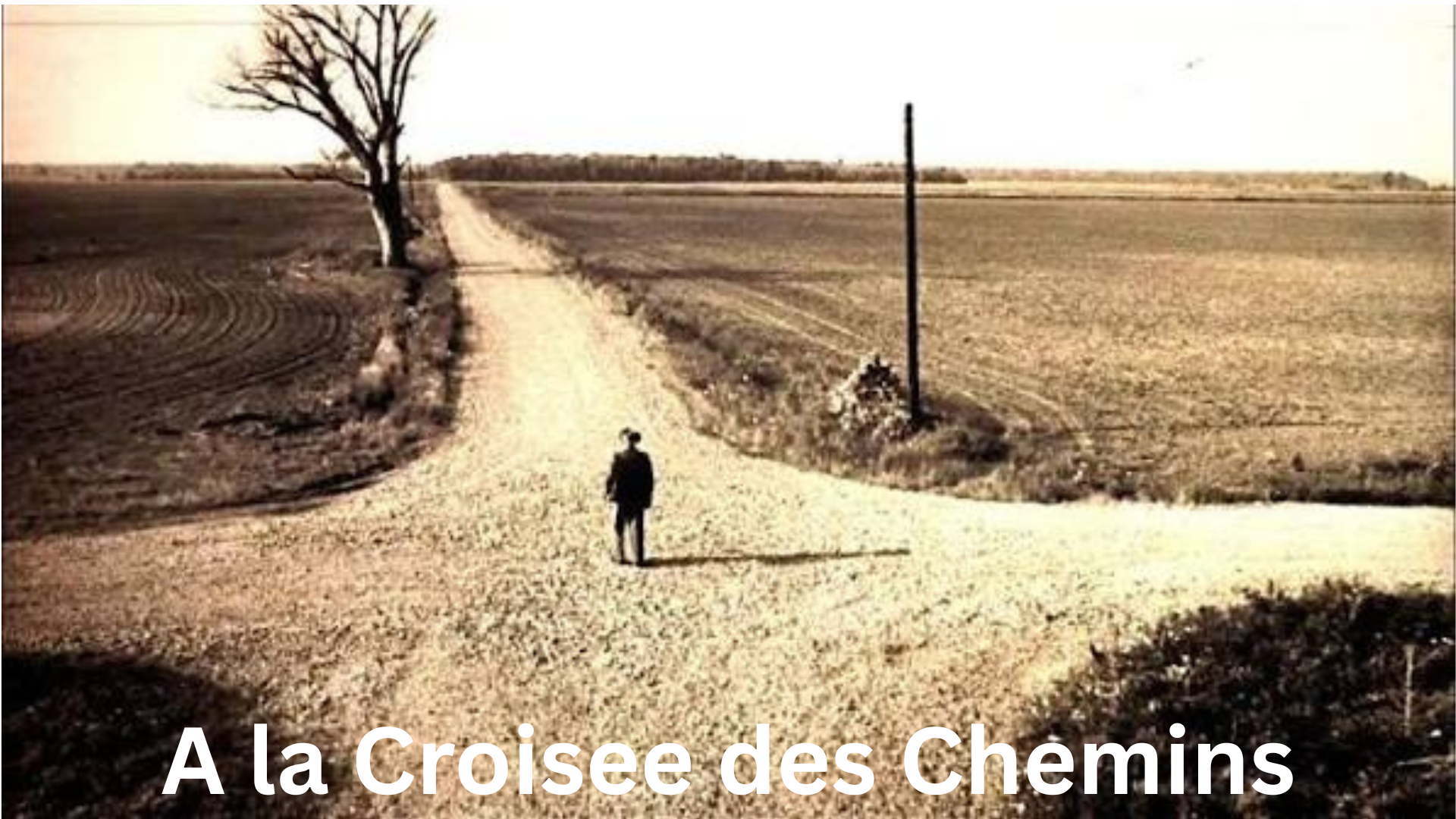A la Croisee des Chemins: Robert Johnson