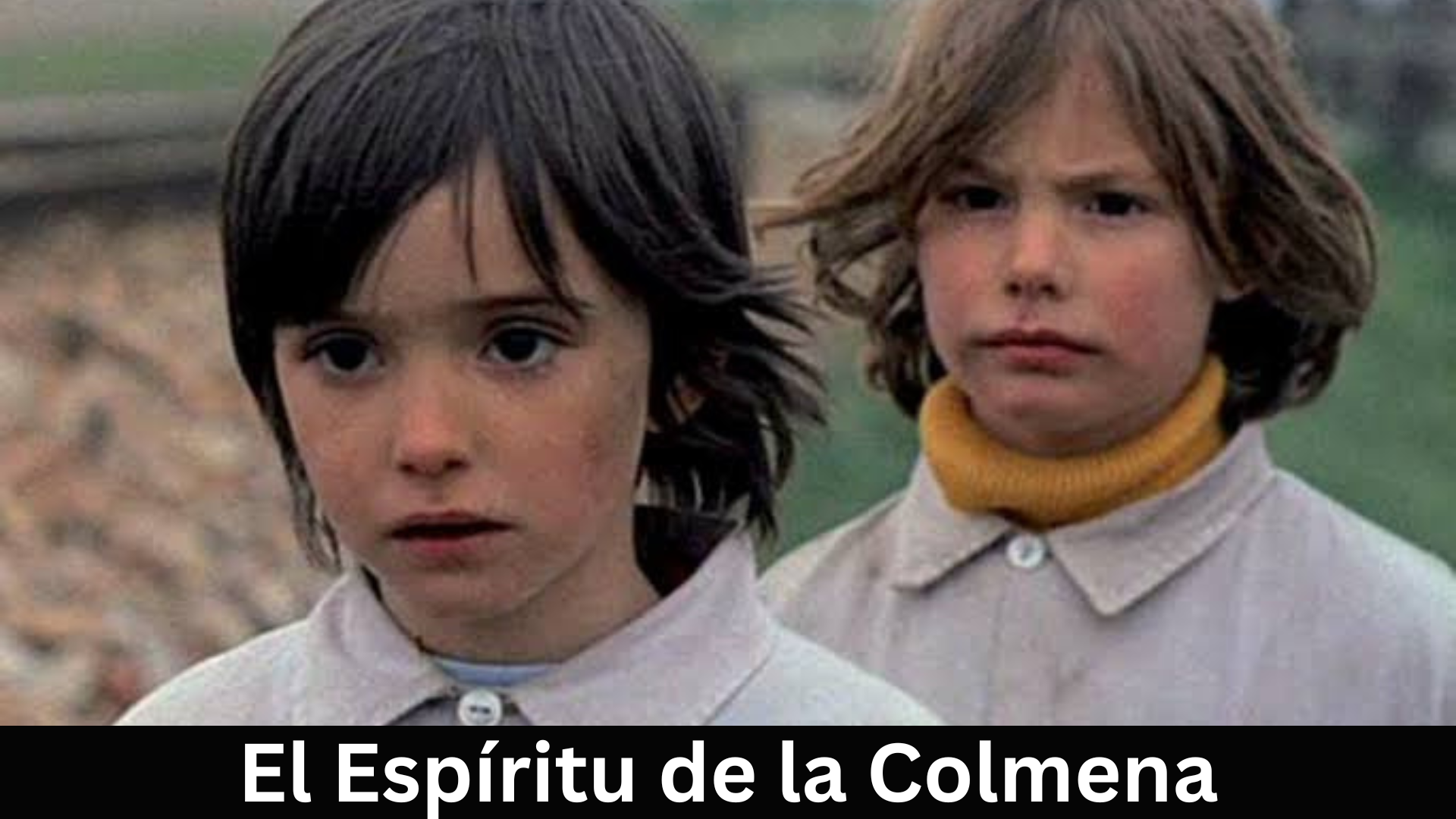 El Espíritu de la Colmena