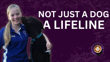 Not Just a Dog, A Lifeline
