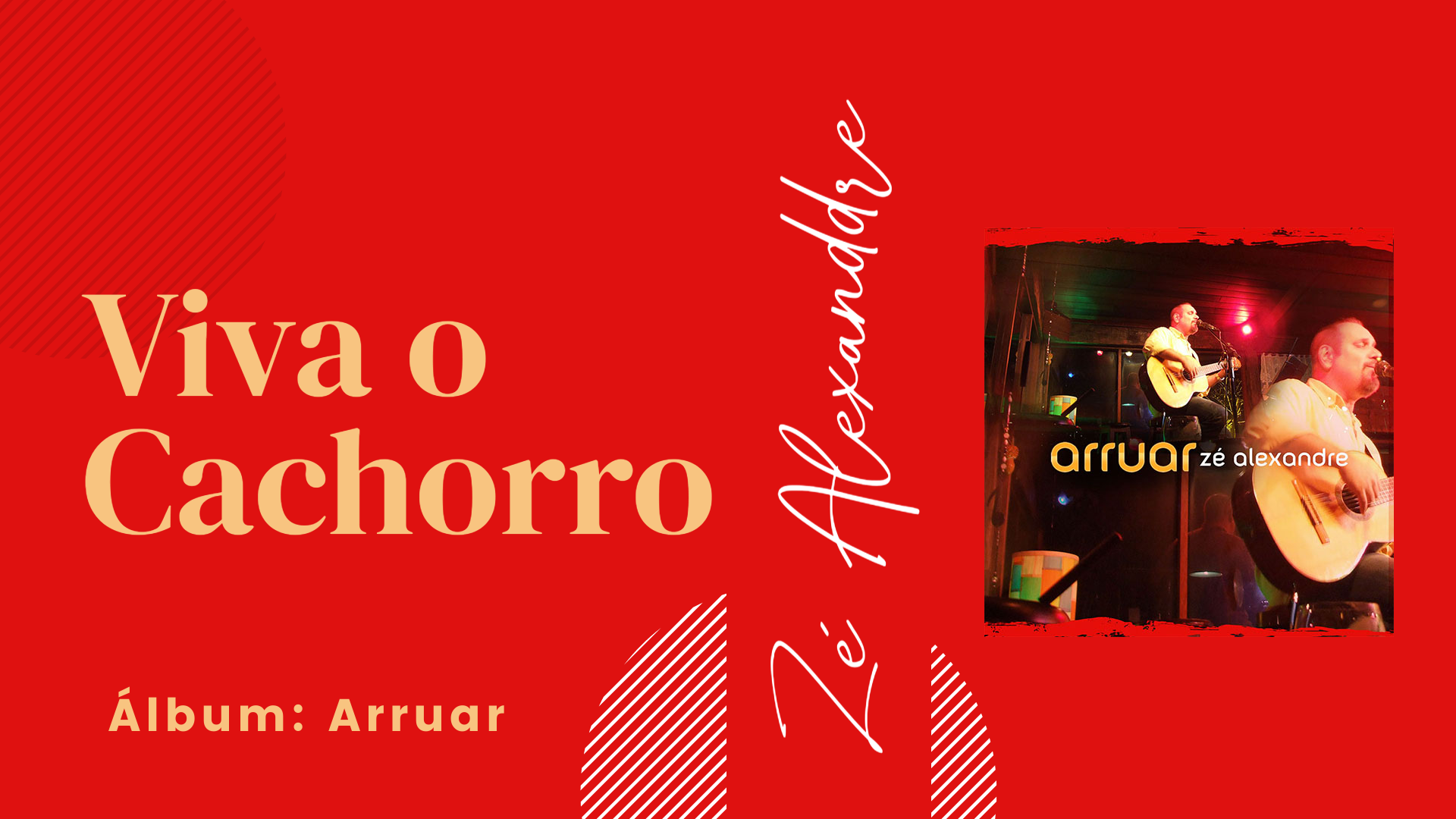 Viva o Cachorro