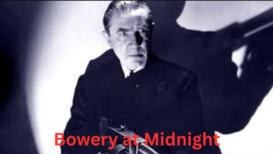 Bowery at Midnight