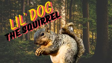 Lil' Dog - The Squirrel