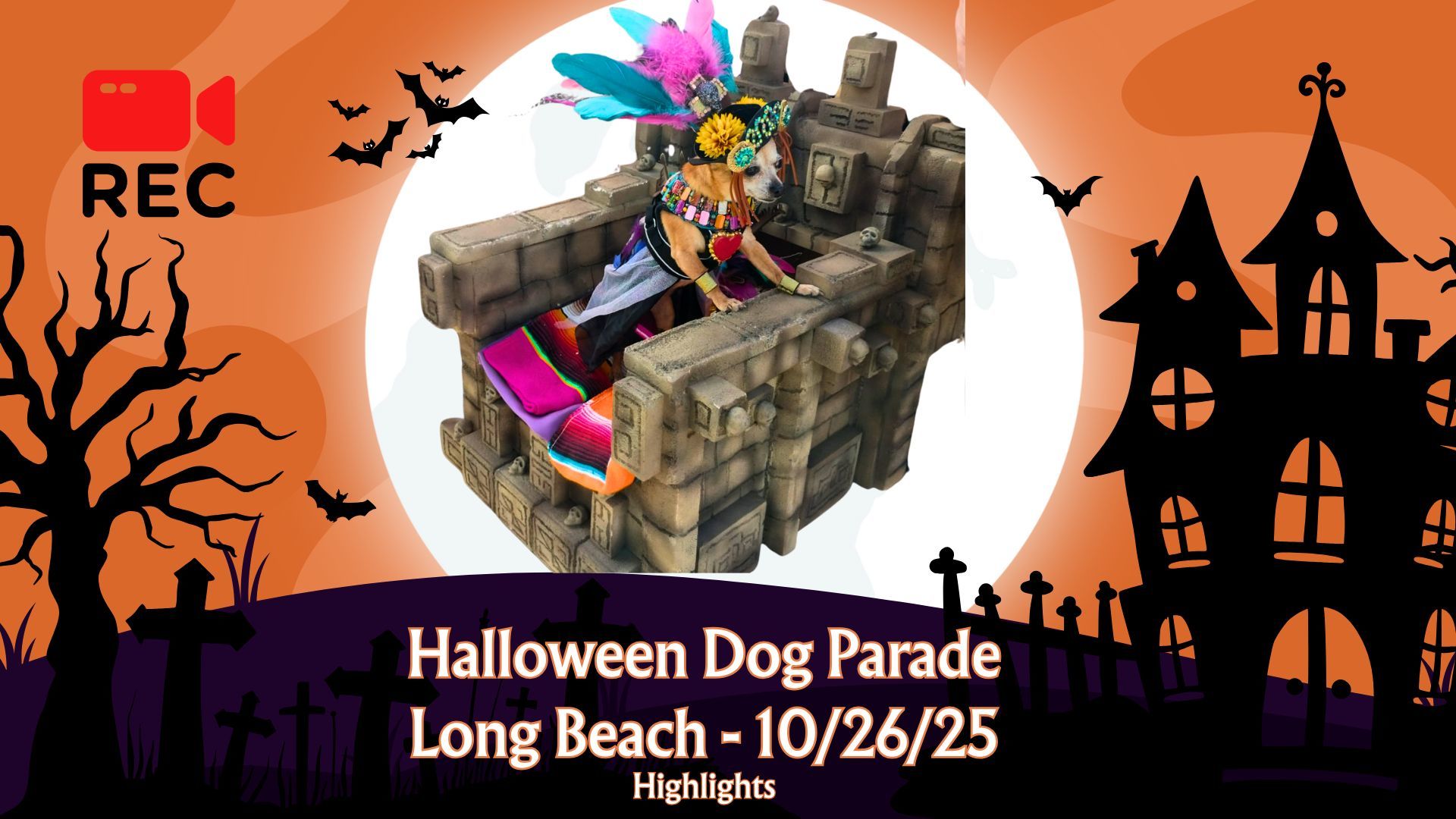 Night Owl Network - Halloween Dog Parade - Clean Recording 