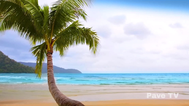 Tropical Beach