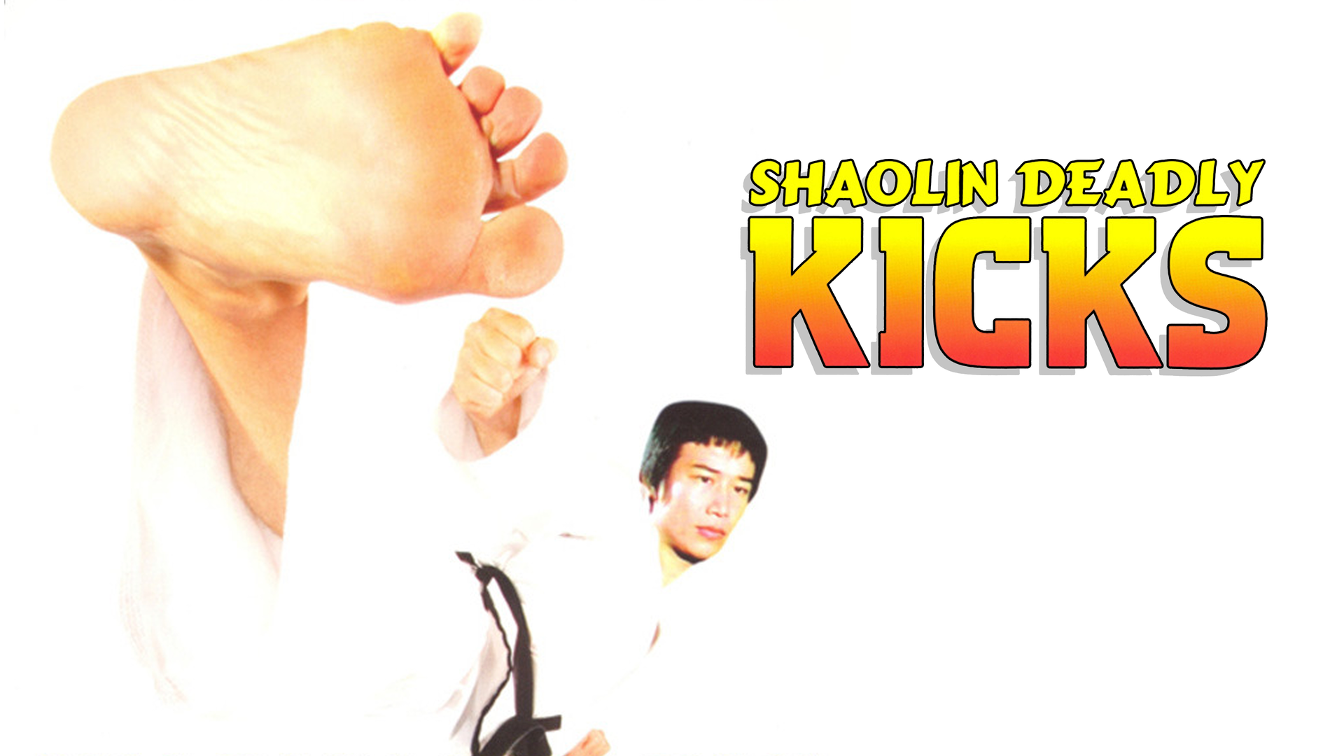 Shaolin Deadly Kicks