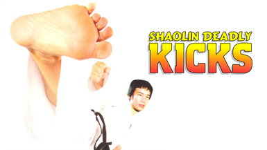 Shaolin Deadly Kicks