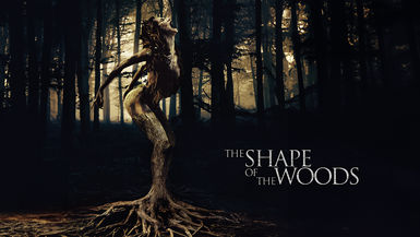 The Shape Of The Woods