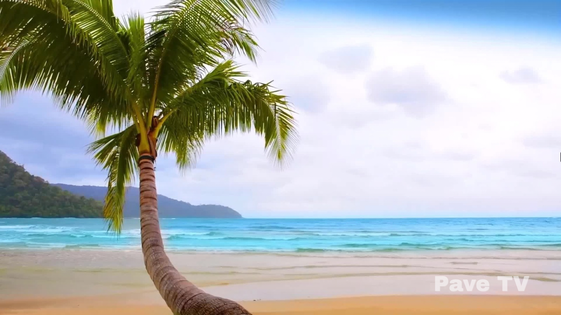 Tropical Beach