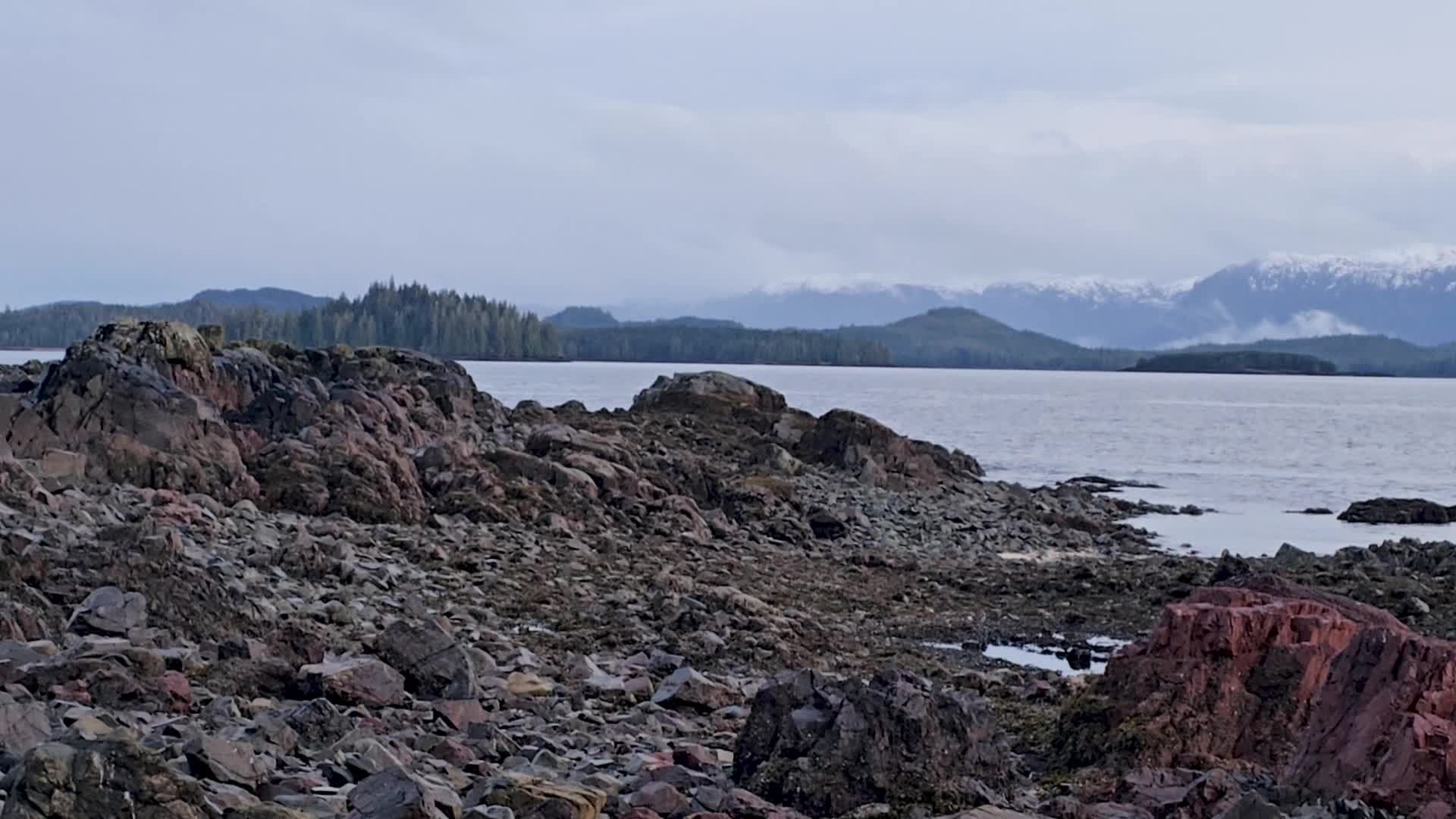Unlocking the Wisdom of an Ancient Canoe