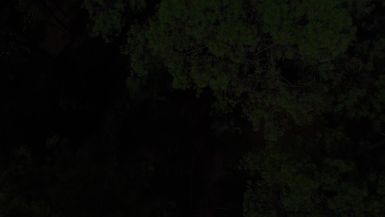 Seeds: Souls of Mexico
