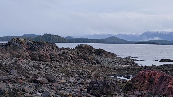 Unlocking the Wisdom of an Ancient Canoe