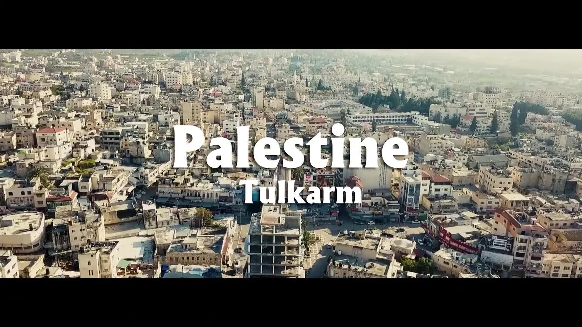 The Descendants of the Orange أحفاد البرتقال