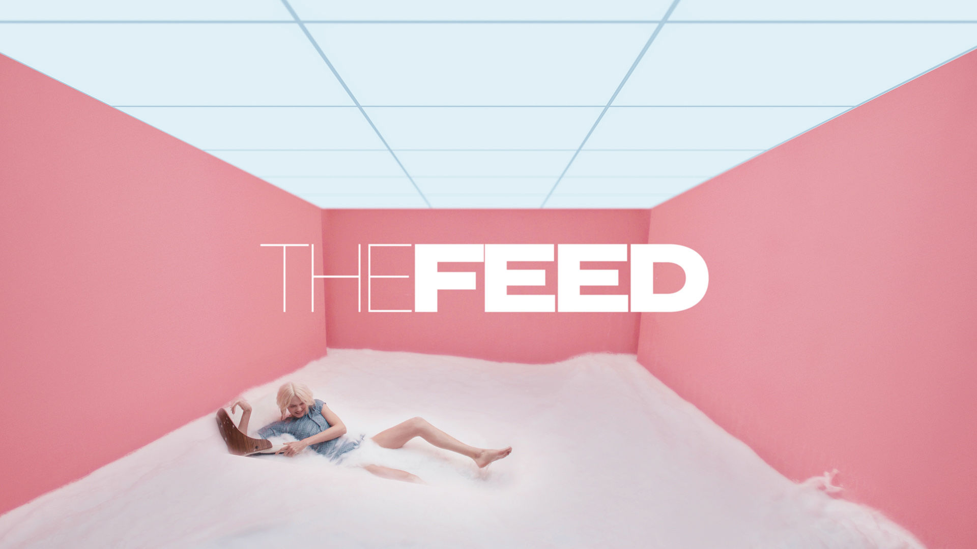 The Feed