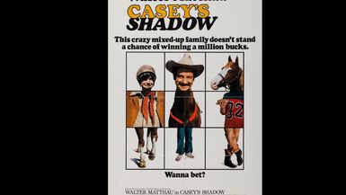 Casey's Shadow