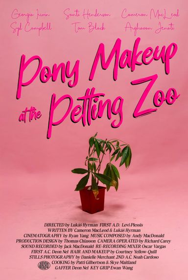 Pony Makeup at the Petting Zoo