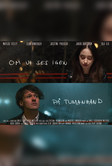 IF WE EVER MEET AGAIN | JUST YOU AND ME