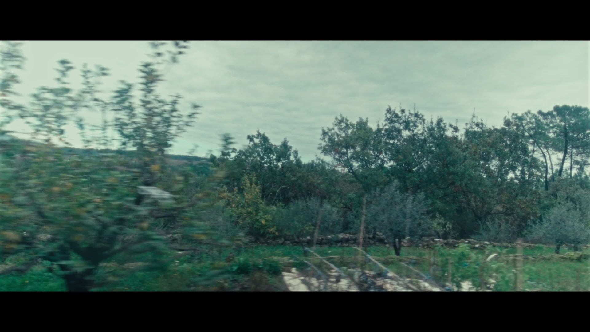 The night of the wolves