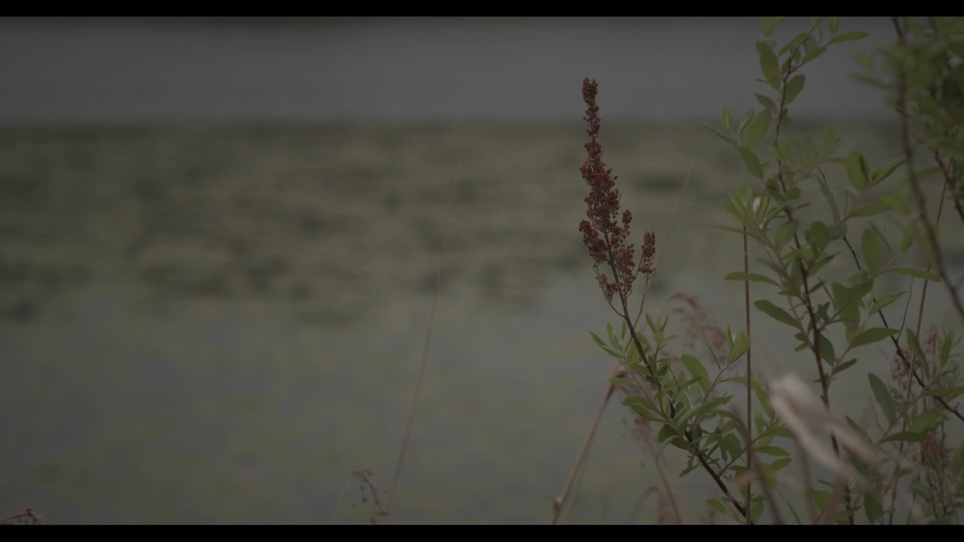 A Burden to Bare